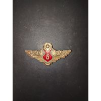 Классность (легкий знак на заколке) в люксе