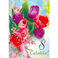 ДМПК Беларусь 2010 8 Марта