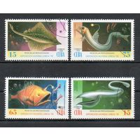 Морские животные Куба 1998 год серия из 4-х марок