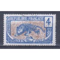 [906] Французские колонии. Среднее Конго 1907. Фауна.Леопард.4 с. Гашеная марка.
