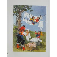 Открытка ёжики ГДР  1988  10х15 см
