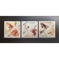 Бенин. 1997 год. Фауна. Лошади (3 сцепки по 2 марки) (1135)