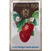 Польша 1974. Клубника