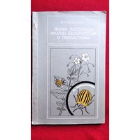 И.К. Лопатин. Жуки-листоеды фауны Белоруссии и Прибалтики