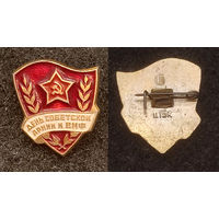 День Советской армии и ВМФ