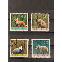 1965 Польша фауна дикие животные 4 м