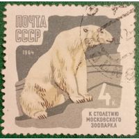 СССР 1964. Белый медведь