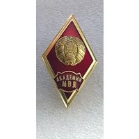 Ромб академия МВД Беларусь*
