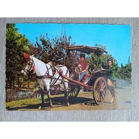 Этнография. Западная Ява. Типичная повозка