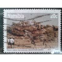 Намибия, 1991. WWF. Горная зебра