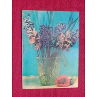 Цветы. Стереофото. Осипова.