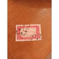 1936 французская колония Алжир фауна архитектура (4-8)