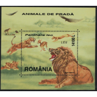Румыния Хищники Кошки Лев Львица Львенок Антилопа Охота 2000  MNH