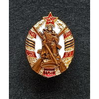 Памятный знак Группа Советских войск в Германии (ГСВГ) с удостоверением