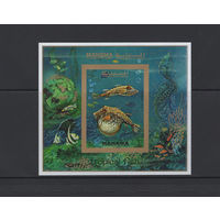 Манама 1971** Морская Фауна Тропические Рыбы Блок без зубцов