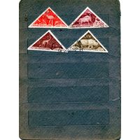 ЧАД, , ФАУНА, , 4 м гашен