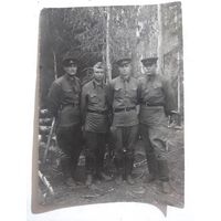 Фото в коллекцию