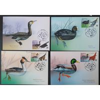 Беларусь 2023 КМ Особенности водоплавающих птиц .