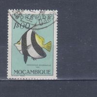 [2219] Португальский Мозамбик 1951. Фауна.Рыба.1 э. Гашеная марка.