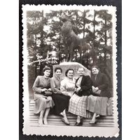 Фото в Доме отдыха "Ждановичи" 1960 г. 8х12 см.