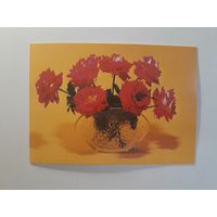 Паштоўка Польскай НР, 1 шт.