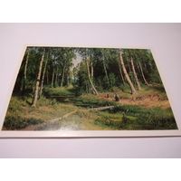 Открытка. И. И. Шишкин. Ручей в березовом лесу.