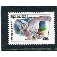 СССР 1990. Фауна. Белая сова