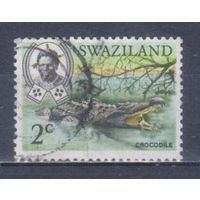 [1610] Свазиленд 1969. Фауна.Рептилии.Крокодил. Гашеная марка.