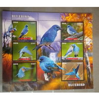СЕРИЯ Блоков птицы  фауна MNH