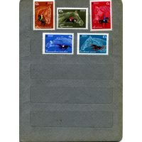СССР, 1968,  КОНЕВОДСТВО** И КОННЫЙ СПОРТистая, серия 5м ч