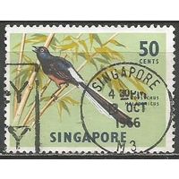 Сингапур. Птицы. Дрозд. 1963г. Mi#65.