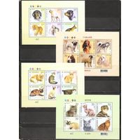 ФФ3 Украина 2007-08 Собаки Кошки