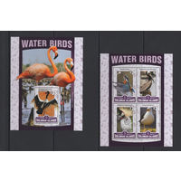 Соломоновы Острова 2016** Водоплавающие птицы
