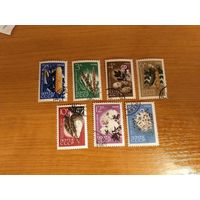 1964 СССР Загорский 2971-2977 флора полная серия клей MNH** (с-9)