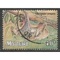 Малайзия. Животный мир юга Азии. Шерстокрыл. 1979г. Mi#190.