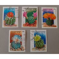 Кактусы. Камбоджа, 2001