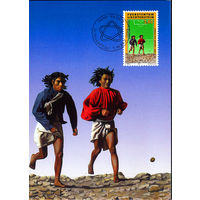 1994 Лихтенштейн. ЧМ по футболу в США. Картмаксимум