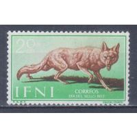 [577] Испанские колонии.Ифни 1957. Фауна.Шакал. БЕЗ КЛЕЯ.