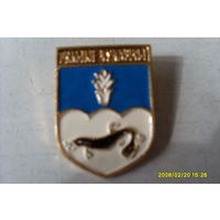 ЗНАЧОК  ГЕРБ "ВЯЛЫКIЕ ЧУЧАВIЧЫ" БЕЛАРУСЬ