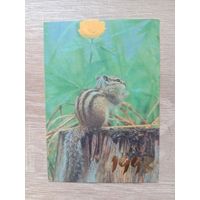 Календарик 1993