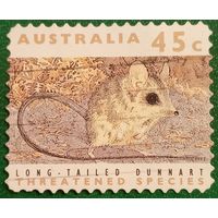 Австралия 1992. Фауна. Long Tailed Dunnart
