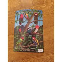 Сьерра Леоне малый лист 2000 г. Попугаи