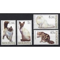 Молдова 2007. Фауна. Кошки 4 марки(289)