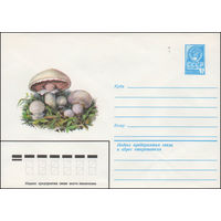 Художественный маркированный конверт СССР N 14354 (03.06.1980) Шампиньоны