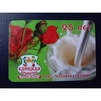 Календарик 2009 г.  Клецкая крыначка.  25 лет.
