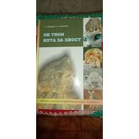 Не тяни кота за хвост