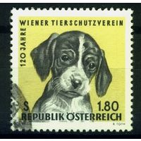 Австрия - 1966 [Mi. 1208] Гашеная (AT06)