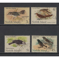 Фауна Птицы Остров Норфолк  Used