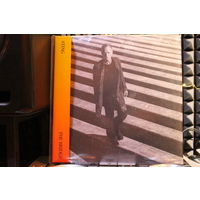 Sting - The Bridge (2021, Vinyl)