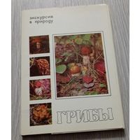 Грибы. Экскурсия в природу. 24 из 25 открыток. 1980. Издательство "Планета".